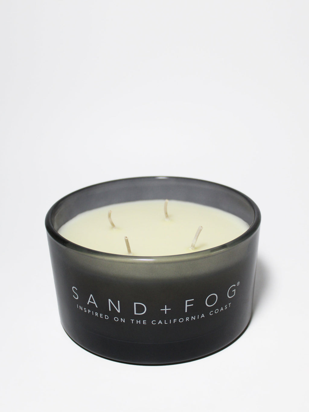 Scented Fern & Moss 23 oz scented candle
