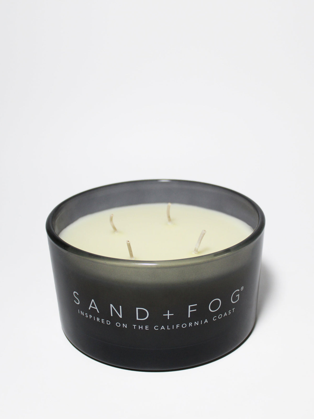 Scented Fern & Moss 23 oz scented candle