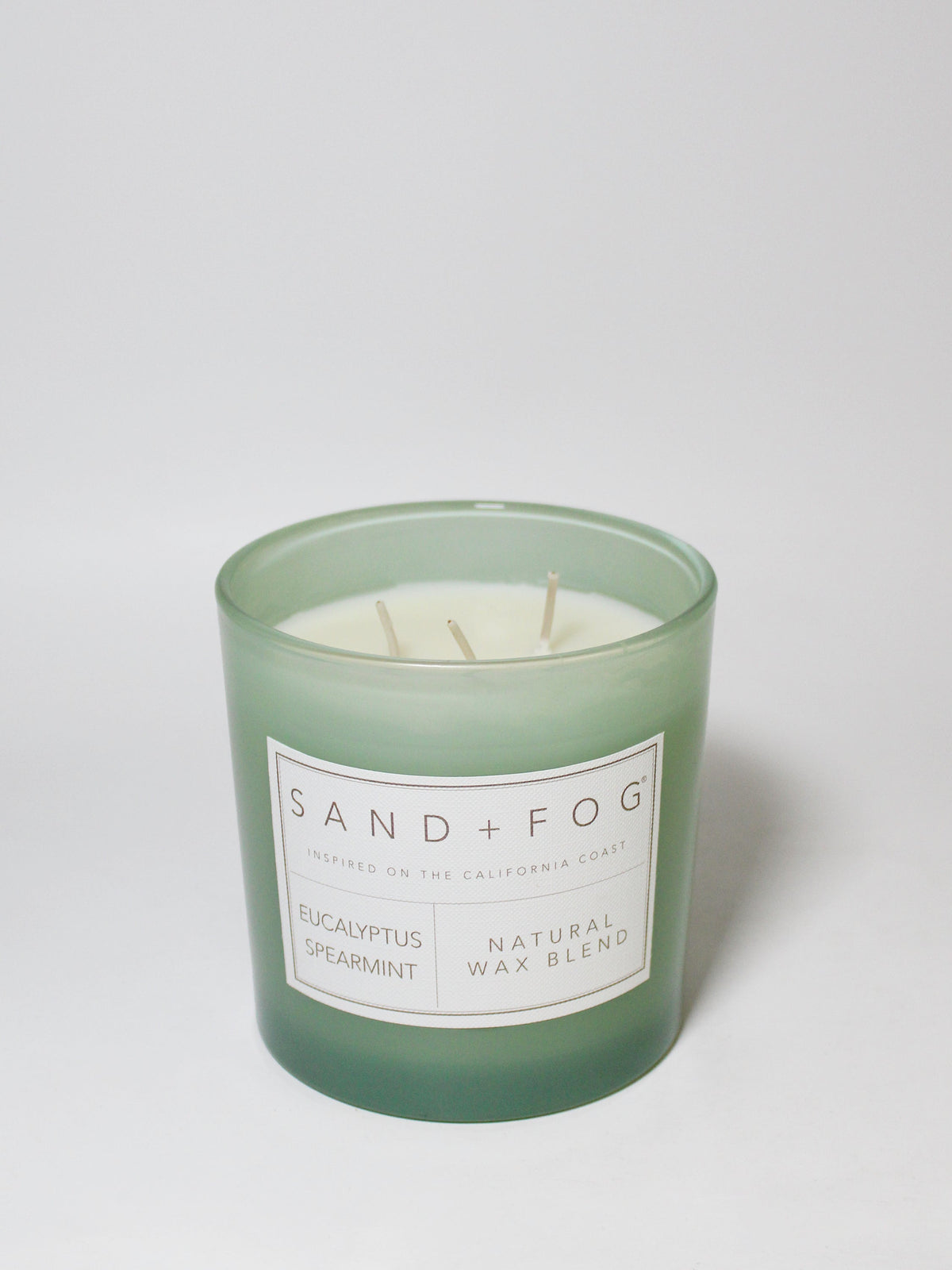 Scented Eucalyptus Spearmint 21 oz scented candle