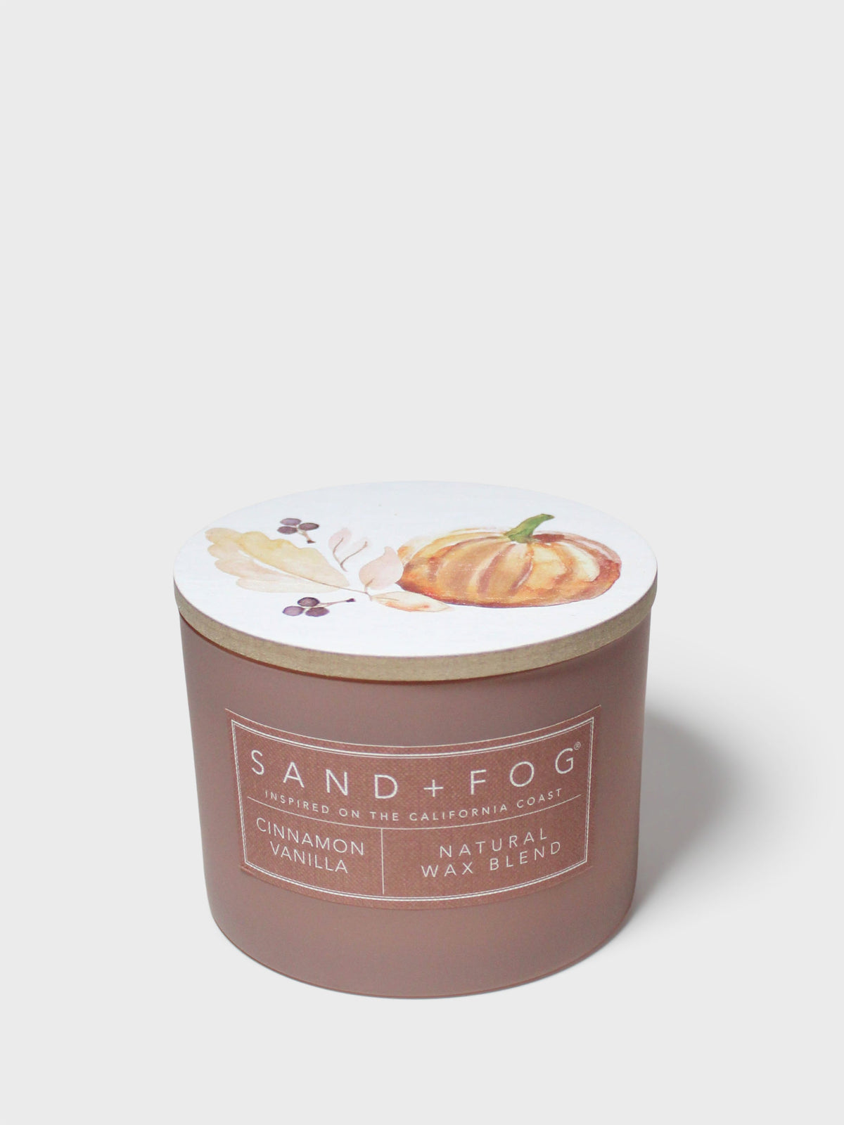 Scented Cinnamon Vanilla 12 oz scented candle