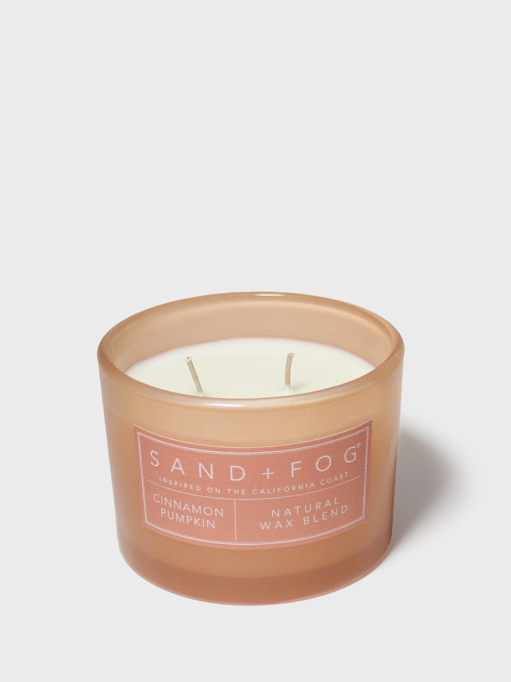Scented Cinnamon Pumpkin 12 oz scented candle